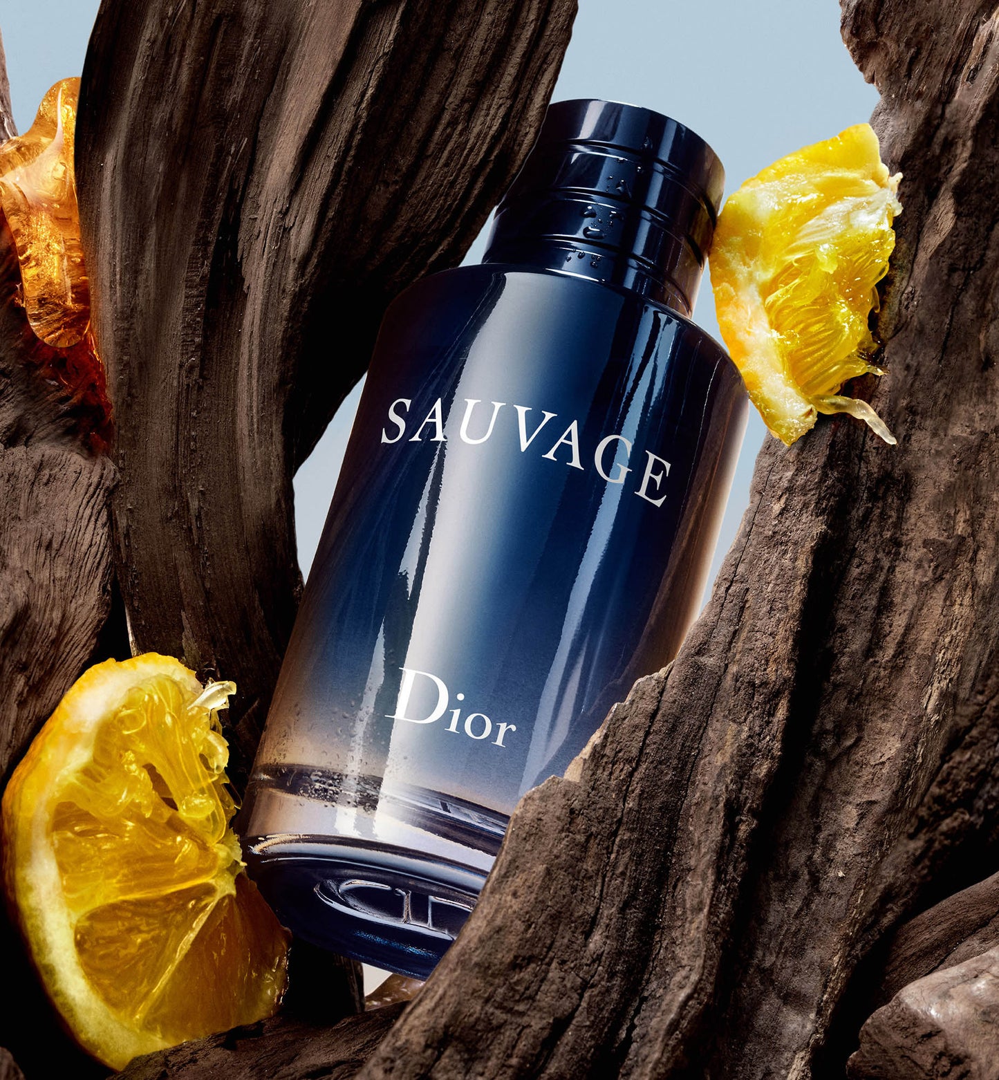 PERFUMES 3X1 PREMIUM SYNCRA®